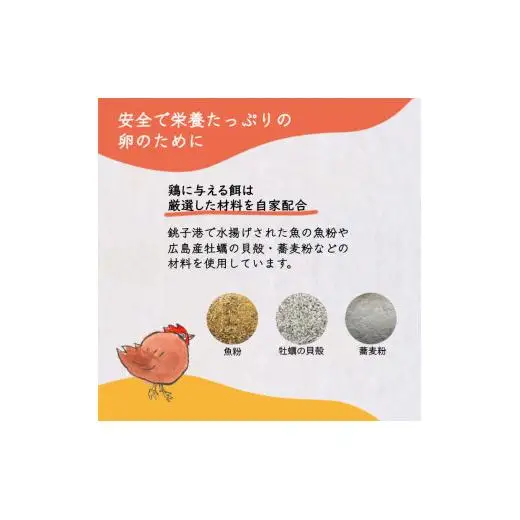 【定期便６か月】卵 30個 新鮮たまご 産卵後2日以内 10個×3箱 2L L ミックス 養鶏場直送 