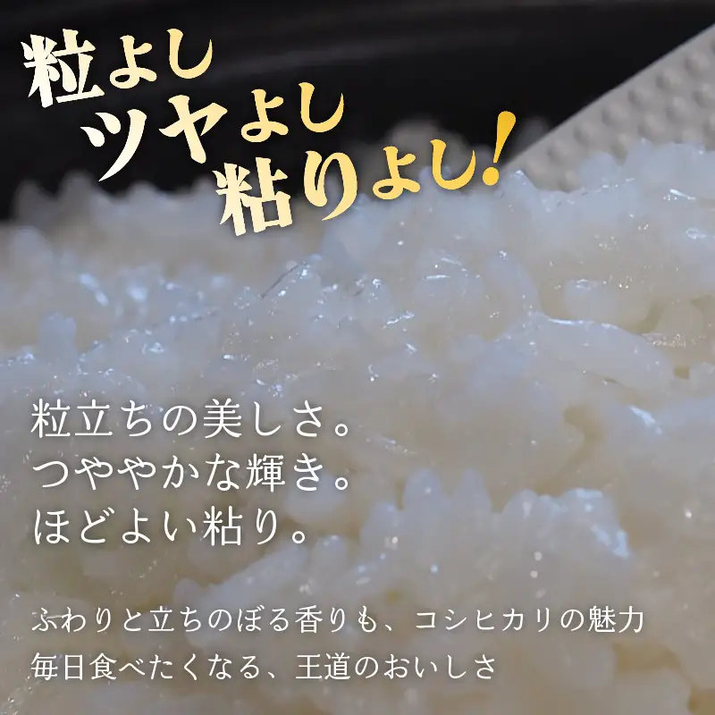 【美しさピカイチ】令和7年産 コシヒカリ ３㎏ 精米 こしひかり 米 お米 こめ ごはん ご飯 ライス 朝食 昼食 夕飯 炊きたて 希少 プレミアム 美人舞 こだわり 美しさ かがやき 輝き JGAP GAP認証 和食 自然 加治川 加治川産 新潟産 新潟 新潟県 新発田産 新発田市 新発田  アグリ加治川 agk010