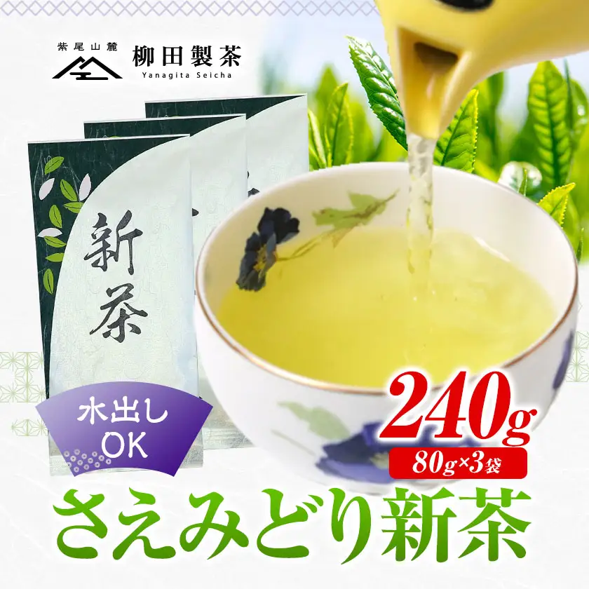 若蒸煎茶 さえみどり 新茶 80g×3袋 柳田製茶 《5月上旬より順次出荷予定(土日祝除く)》