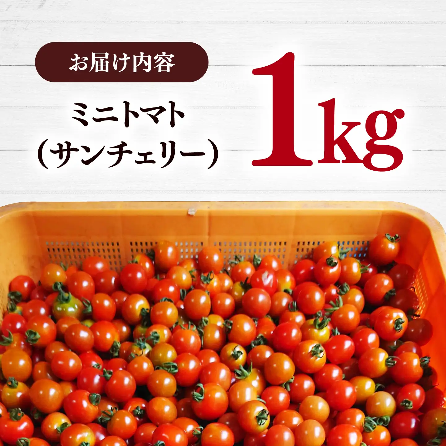 【甘みと酸味の黄金比】 ミニトマト 1kg 《対馬市》【みのり農園】 野菜 とまと[WDC001]