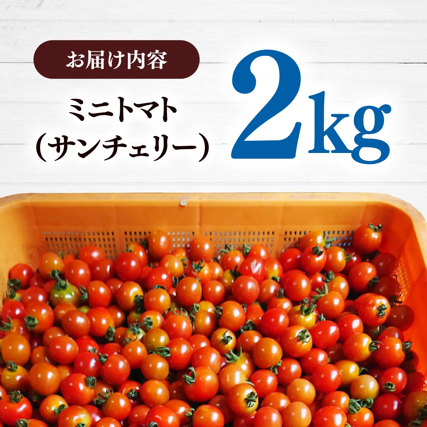【甘みと酸味の黄金比】 ミニトマト 2kg 《対馬市》【みのり農園】 野菜 とまと[WDC002]