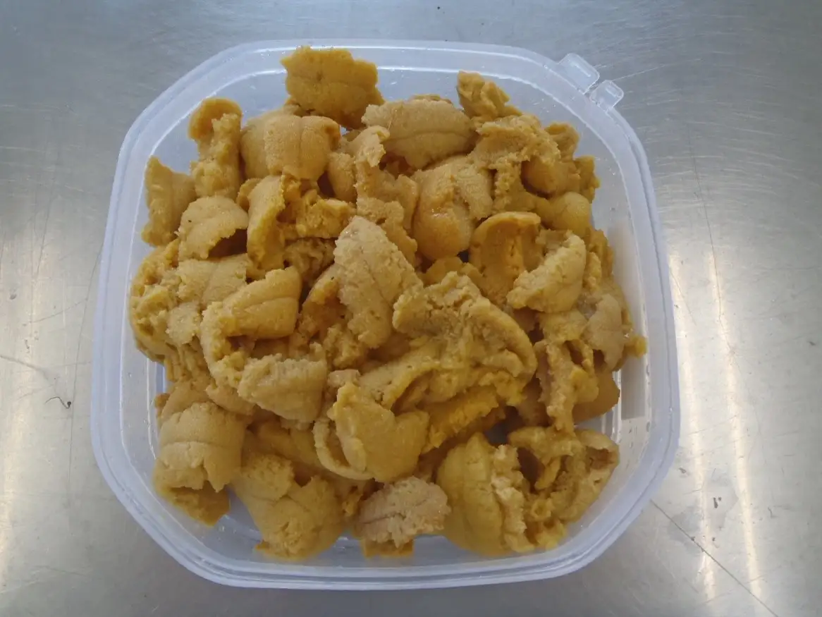 「種市産」天然生うに200g×2パック ミョウバン不使用 無添加 北三陸 増殖溝 雲丹 産地直送