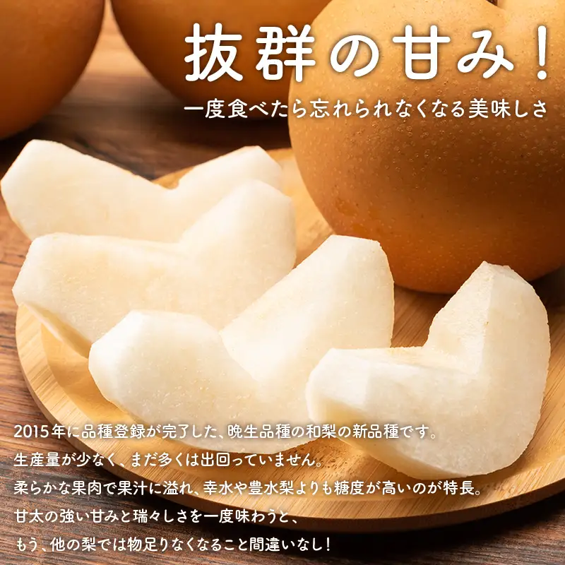 FKP9-713 一勝地梨 甘太 約2.5kg なし ナシ デザート フルーツ 果物 くだもの 果実 食品