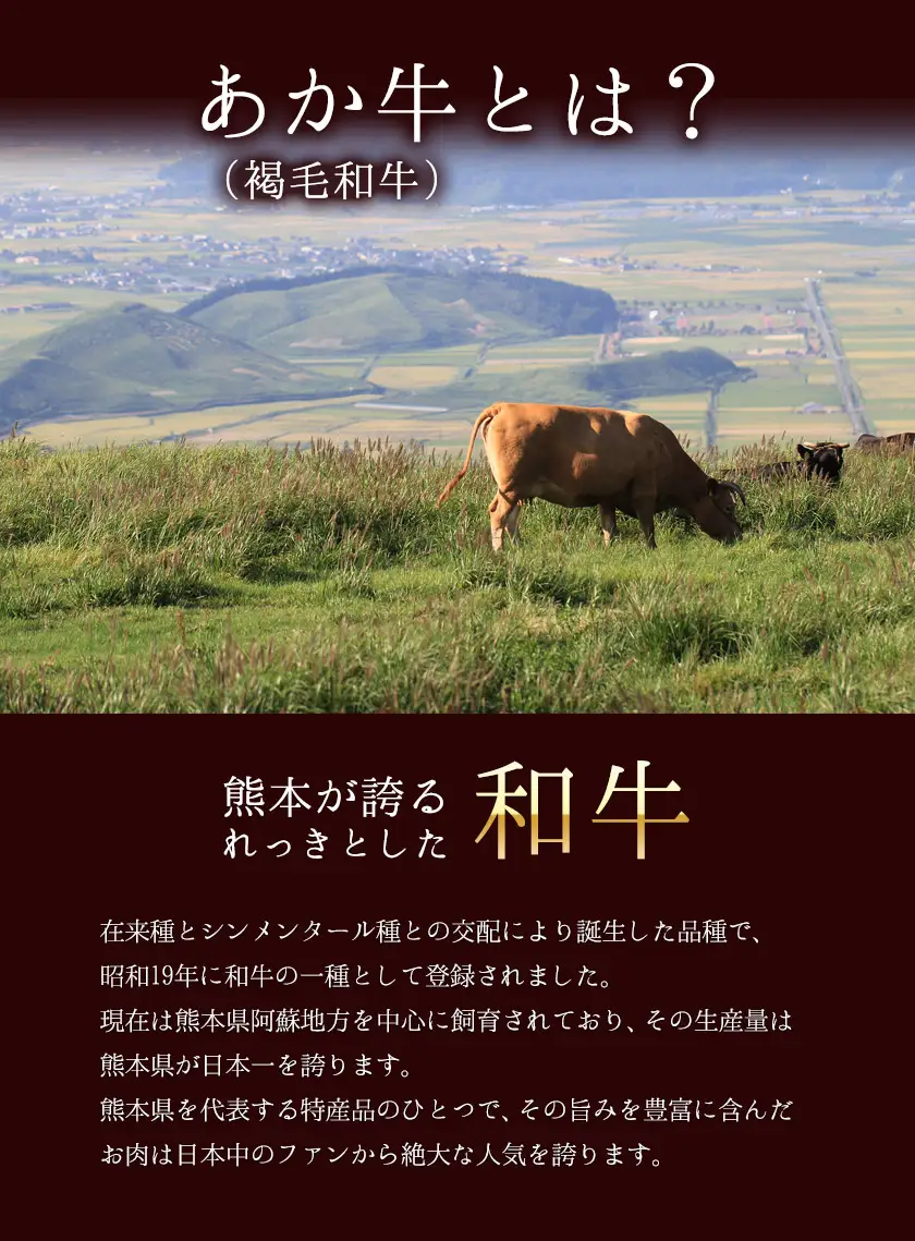 あか牛(褐毛和牛) ローススライス (リブまたはサーロイン) 500g 熊本県産 肉 和牛 牛肉 赤牛 あかうし リブロース サーロイン 冷凍 《30日以内に出荷予定(土日祝除く)》送料無料 熊本県南関町