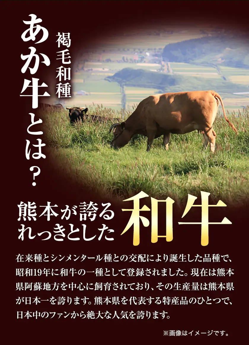 あか牛切り落とし 1.1kg(275g×4パック)　赤身切り落としスライス《30日以内に出荷予定(土日祝除く)》肉 牛肉 切り落とし 国産牛 切落とし ブランド牛 すき焼き スライス カレー 焼肉 小分け