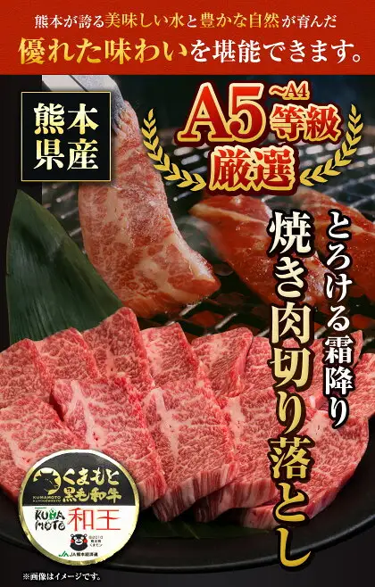 くまもと黒毛和牛 和王 バラ 霜降り 焼肉切り落とし 550g A5 A4 等級《30日以内に出荷予定(土日祝除く)》熊本県 南関町 黒毛和牛 牛肉 冷凍 個別 取分け 小分け チャック付き バラ凍結 肉 お肉 焼き肉 焼き肉用