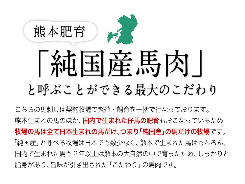 手作りハン馬ーグ 100g×10個 馬肉100%配合！【熊本肥育】ハンバーグ たっぷり 冷凍 お中元 肉 お手軽 お取り寄せ《30日以内に出荷予定(土日祝除く)》