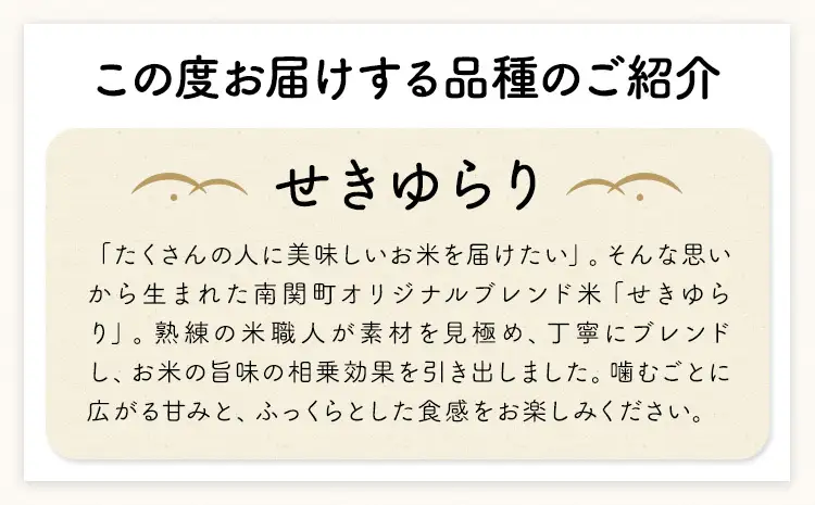 【12ヶ月定期便】米 南関町 せきゆらり 無洗米 5kg《申込みの翌月から出荷開始》熊本県産 国産 無洗米 こめ コメ 5キロ