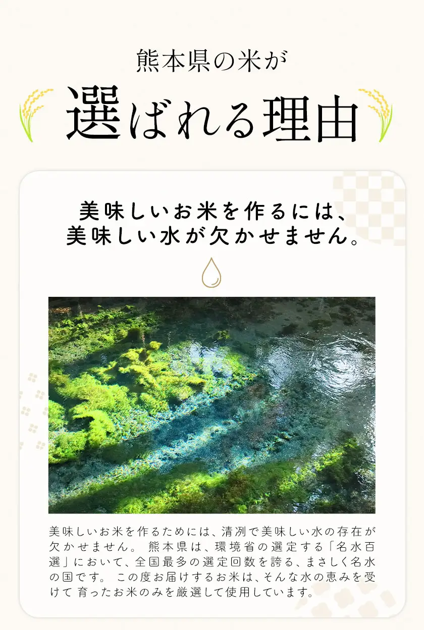 【隔月定期便6回】米 南関町 せきゆらり 白米 10kg《お申込み翌月から出荷》熊本県産 国産 白米 こめ コメ 10キロ