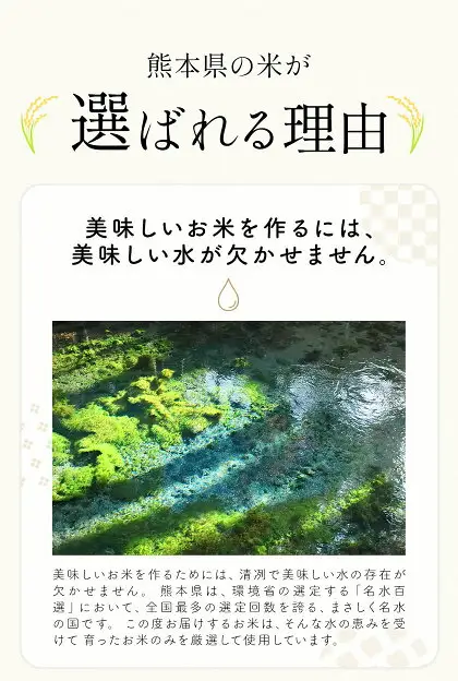 米  南関町 単一原料米 (ひのひかりorにこまるorくまさんの輝き) 白米 20kg《7-14日以内に出荷予定(土日祝除く)》熊本県産 国産 ひのひかり 白米 精米 こめ コメ 20キロ