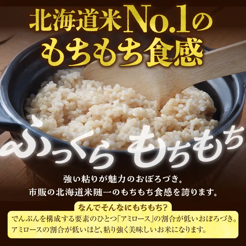 【定期便2回】令和7年産 おぼろづき 玄米 5kg（5kg×1袋）雨竜産 北海道