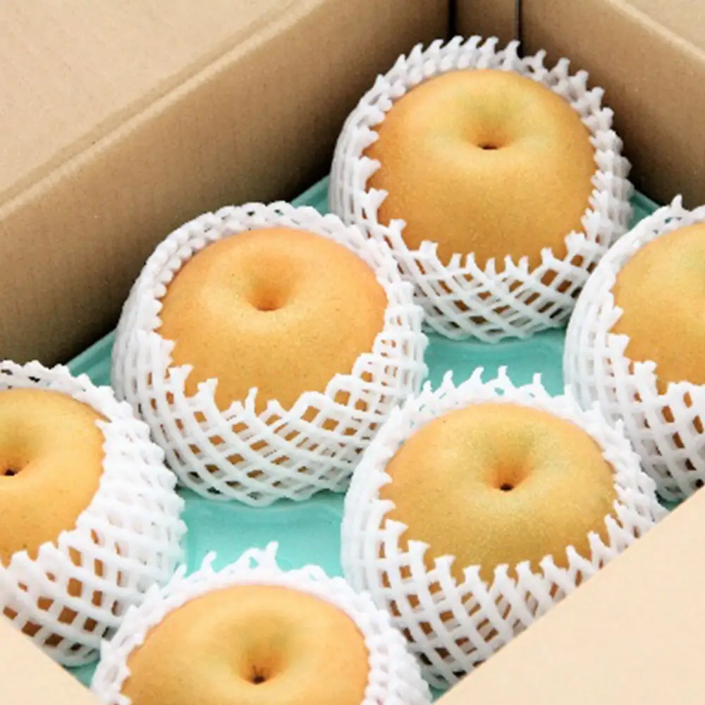 市川産　梨　豊水　3kg　【12203-0462】 なし ナシ 市川のなし 果物 くだもの フルーツ 市川市 ヤマニ果樹農園