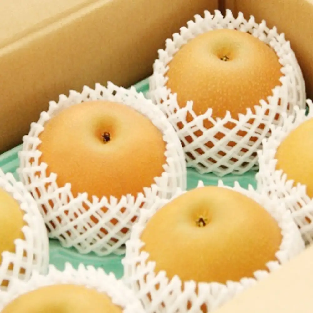 市川産　梨　あきづき　3kg　【12203-0463】 なし ナシ 市川のなし 果物 くだもの フルーツ 市川市 ヤマニ果樹農園