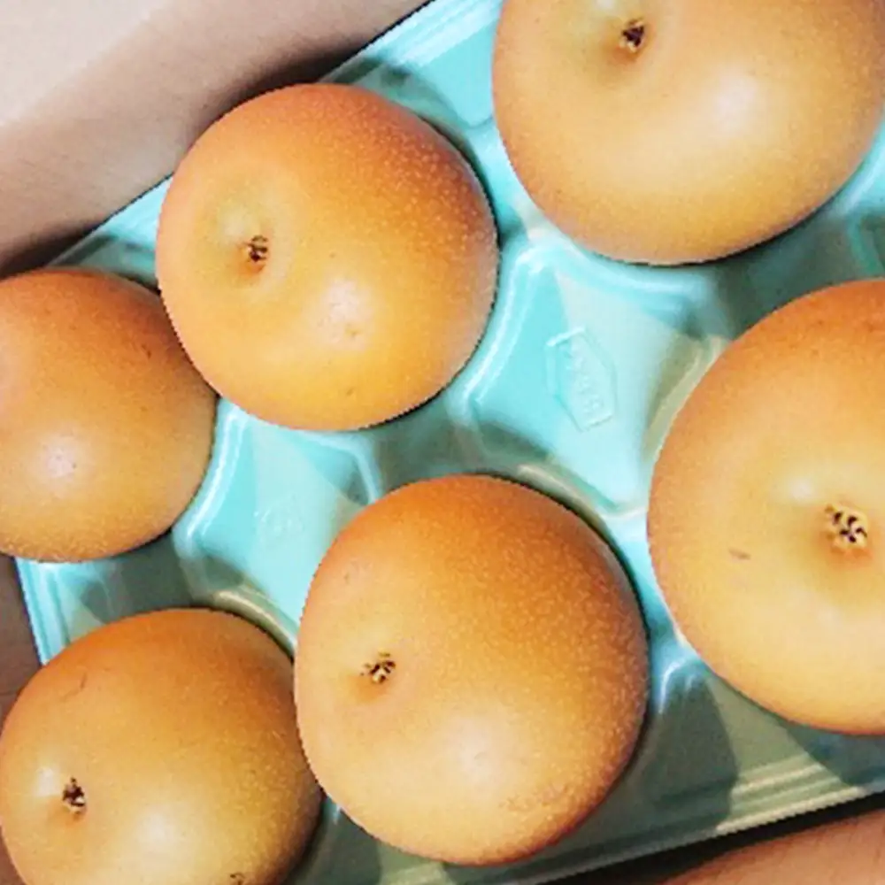 市川産　訳あり梨　3kg（品種おまかせ）　【12203-0464】 なし ナシ 市川のなし 果物 くだもの フルーツ 訳アリ 家庭用 市川市 ヤマニ果樹農園