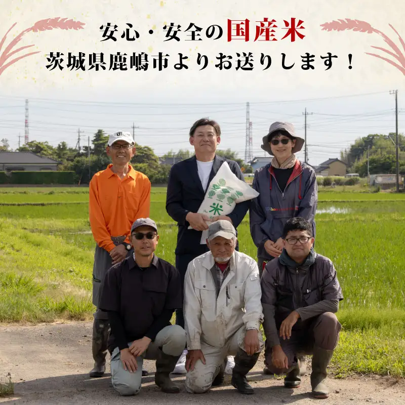 米 精米 10kg 令和7年度産 チヨニシキ 米 kome