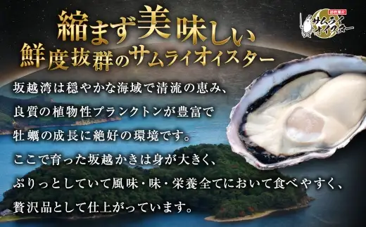 サムライゴールド 坂越産 殻付き生牡蠣 10個 かき カキ 牡蠣 生牡蠣 生がき 生ガキ 殻付き 殻 海の幸 魚介 貝 国産 兵庫県産
