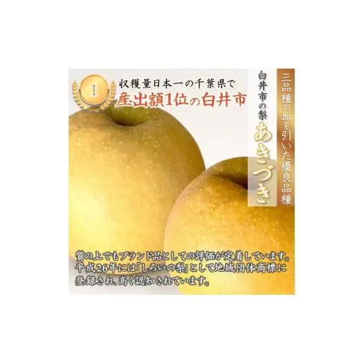 【2026年秋収穫分】あきづき 5kg 12～16玉 しろいの梨 予約受付 果汁たっぷり 甘い 美味しい ジューシー 千葉県 白井市