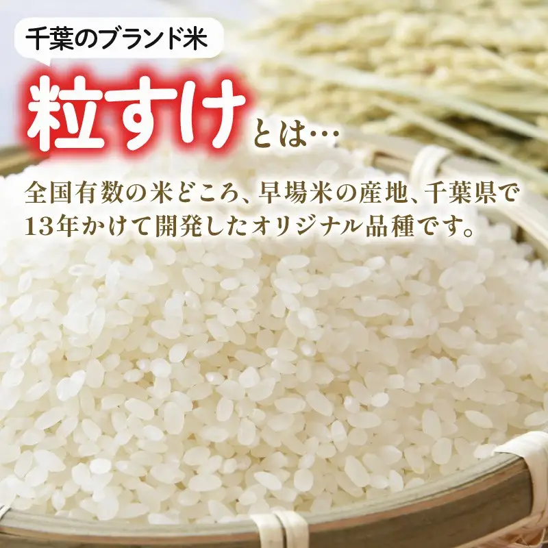 【先行予約】 令和8年産 無洗米 粒すけ 10kg 【 無洗米 】