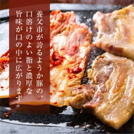 【八鹿豚】バラ焼肉　500g×1P【配送不可地域：離島】【1735654】