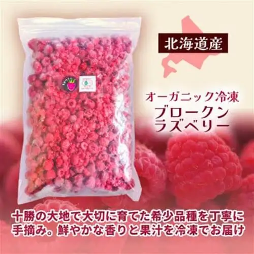 有機JAS認証  訳あり 冷凍ラズベリー 500g 【十勝産 希少品種】【配送不可地域：離島】【1725982】