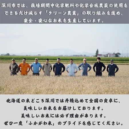 【令和7年産】北海道深川産　ゆめぴりか　3kg(1kg×3袋)　普通精米　特A　美味しいお米　小分け【1741772】