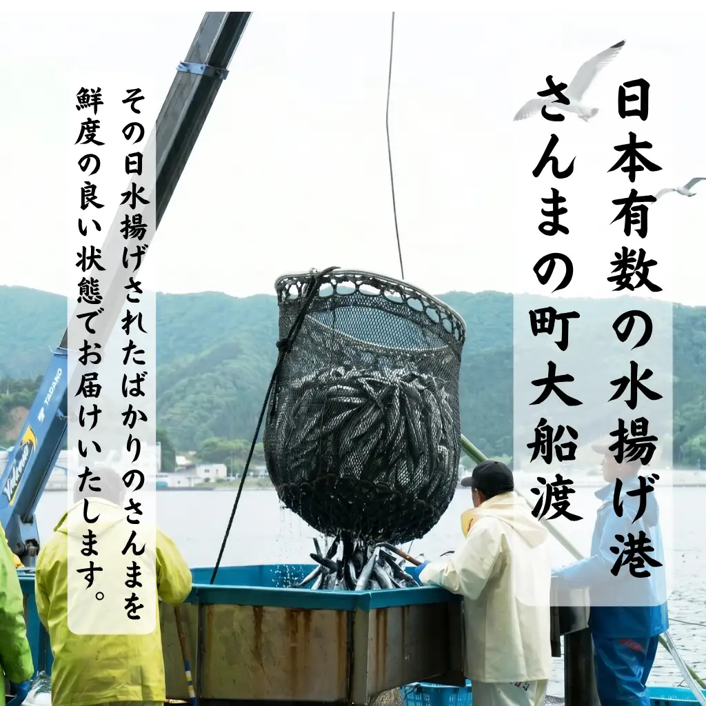 訳ありさんま 2kg 冷蔵