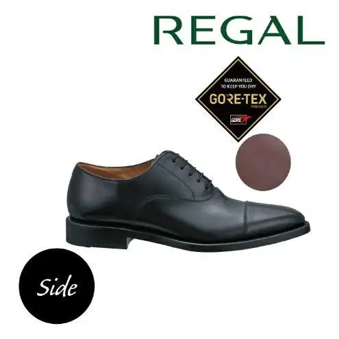 ビジネスシューズ REGAL 218S ダークブラウン ビジネスシューズ【ゴアテックス】 218S  ダークブラウン25.5cm