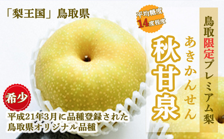 【倉吉産】梨 秋甘泉 5kg  梨