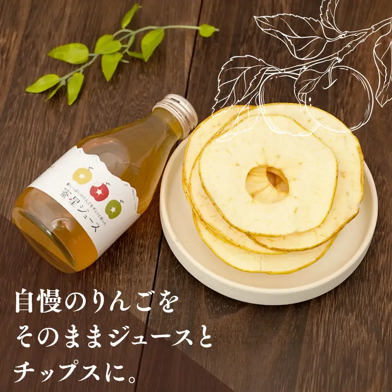  蜜星 りんごチップス 25g×3袋 りんごジュース 180ml×3本 セット 【hi-0039-012】