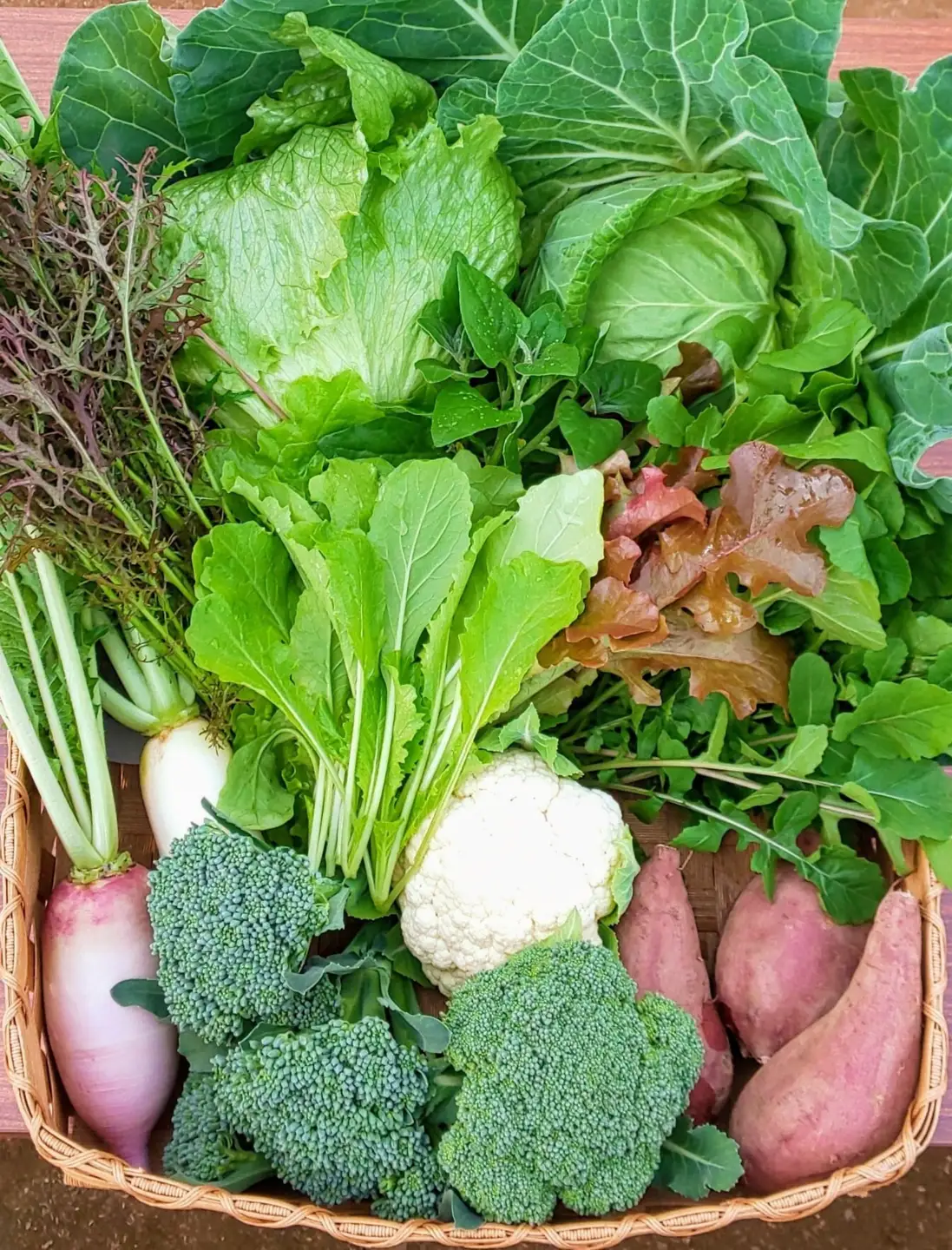 【先行予約】 訳あり 野菜セット 夏 6 ～ 8 種類 7月上旬以降発送 【 夏野菜セット 】