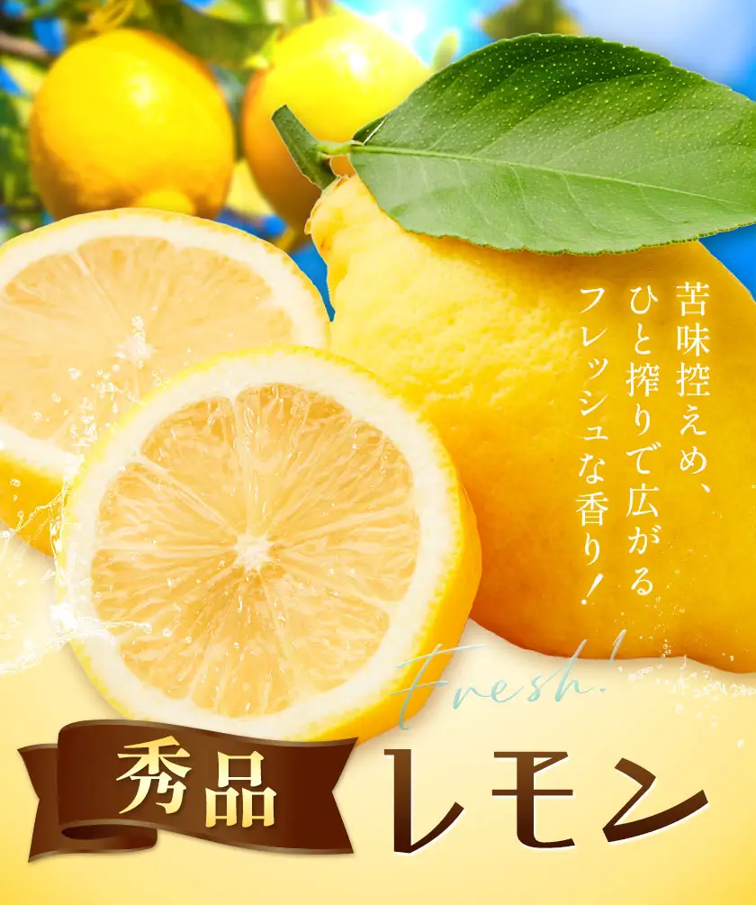 レモン 秀品 8kg 株式会社農業福祉研究機構