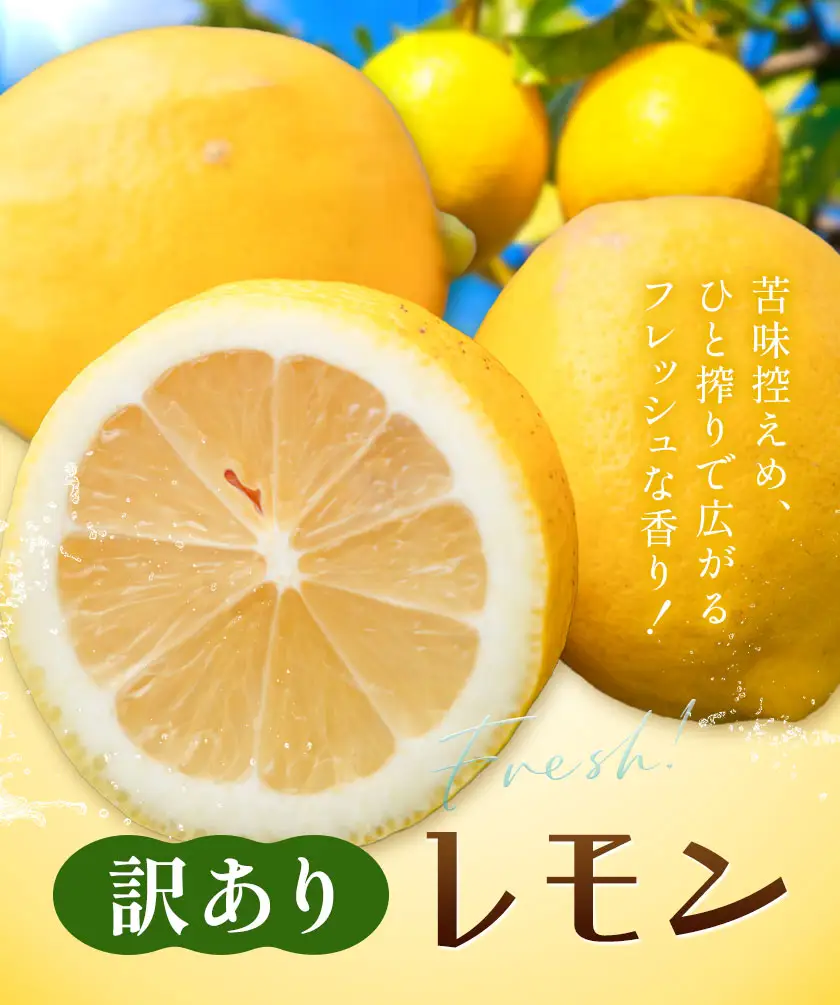 レモン 訳あり 10kg 株式会社農業福祉研究機構
