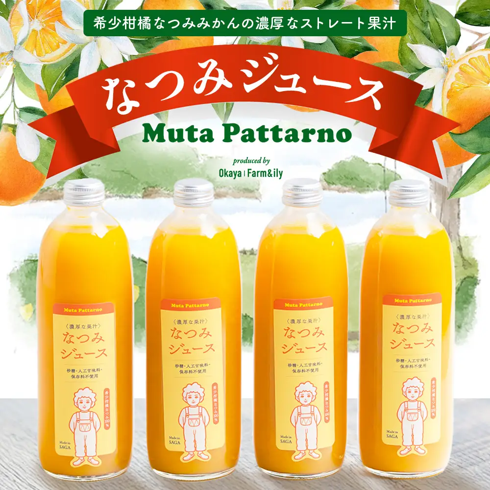 B-882 なつみジュース500ml×4本 希少柑橘なつみみかんの濃厚なストレートジュース 佐賀県 鹿島市