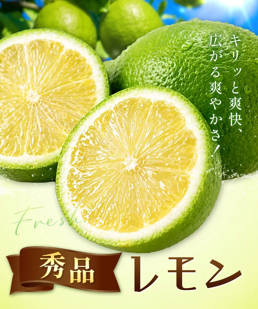 レモン 秀品 緑色 9kg 株式会社農業福祉研究機構