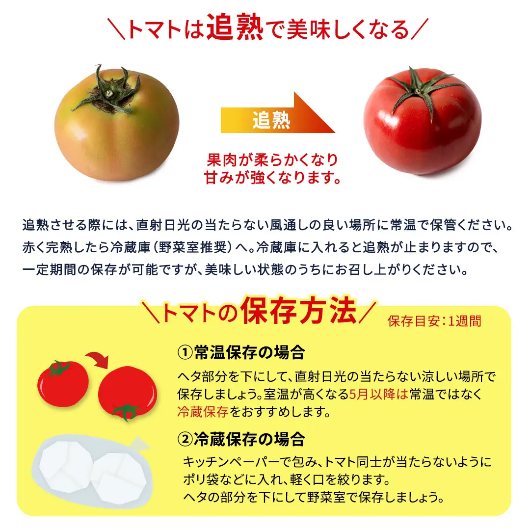 《 2027年 収穫分 》4～5月配送 スーパーフルーツトマト てるて姫 中箱 約1.2kg × 1箱 【12〜15玉/1箱】 糖度9度以上 定期便 先行予約 フルーツトマト ブランドトマト 野菜 ギフト 贈答 青空レストラン アド街ック天国 グッドモーニング 黄金のワンスプーン 昼めし旅 [BC033sa0405]
 