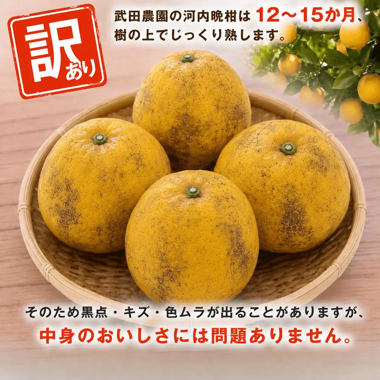 訳あり 河内晩柑 10kg みかん職人武田屋【R01617-1】
