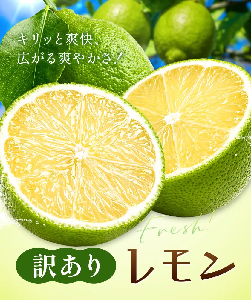 レモン 訳あり 緑色 6kg 株式会社農業福祉研究機構