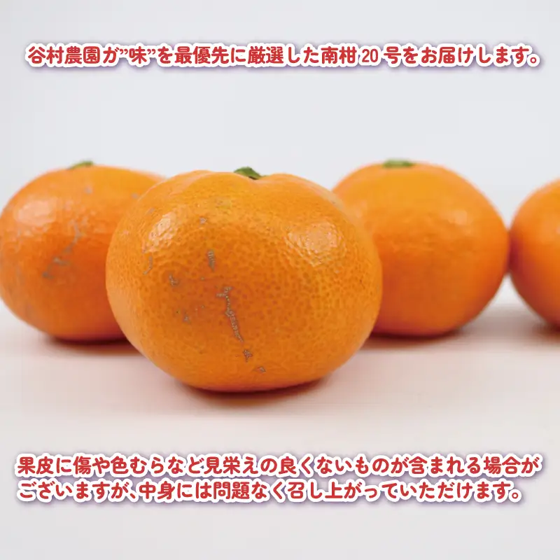 温州みかん 南柑20号 みかん 5kg 谷村農園 温州 愛媛みかん 愛媛蜜柑 愛媛ミカン うんしゅう ミカン 蜜柑 mikan 果物 フルーツ 柑橘 甘い 甘味 産地直送 農家直送 数量限定 国産 愛媛 宇和島 B016-201002