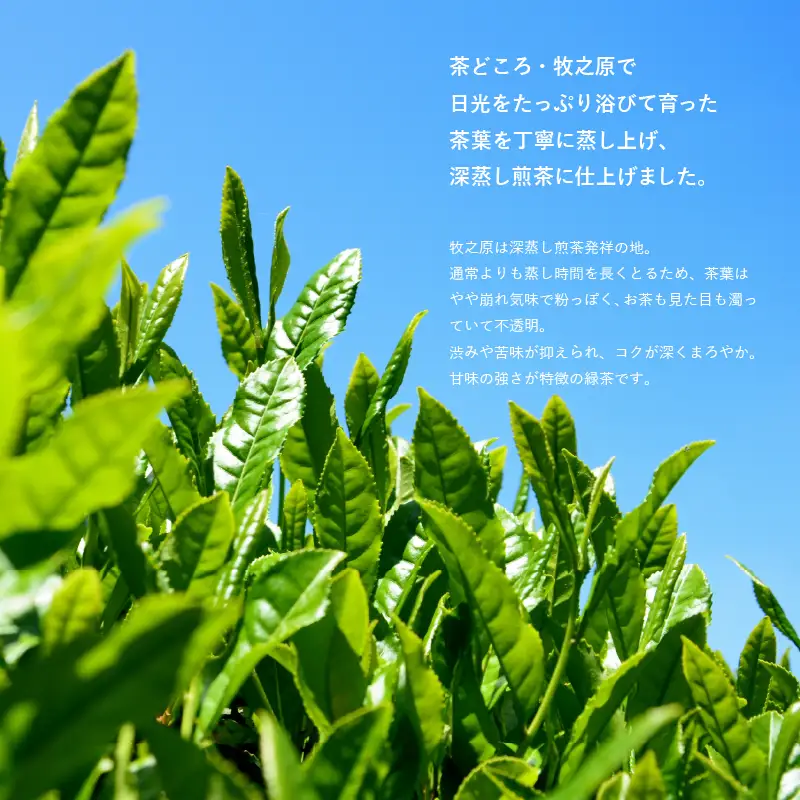 【2026年度産新茶】深蒸し煎茶 100g×3袋 のみま煎か 静岡県 牧之原市 あっくん