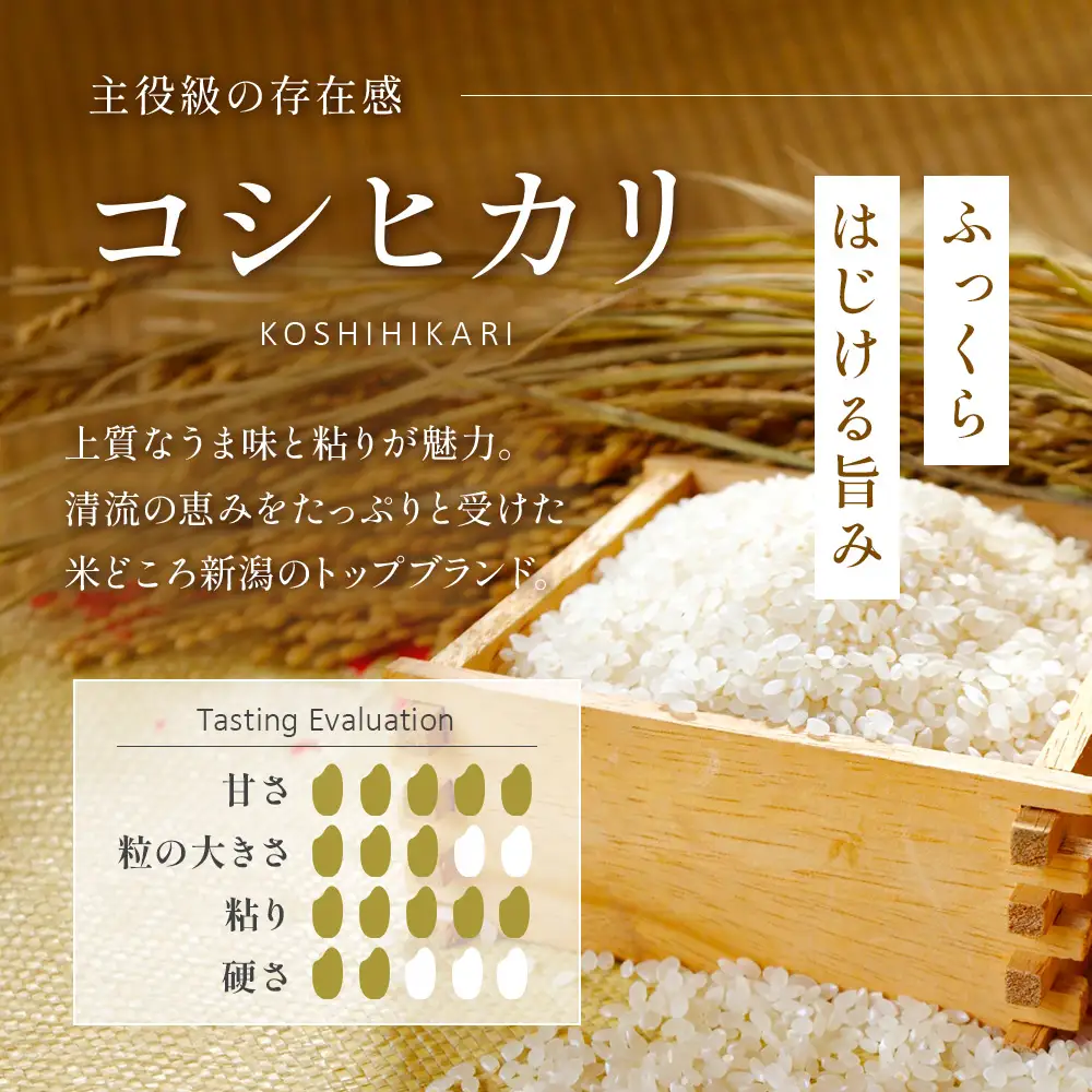 米 令和8年産【無洗米】新潟県産 コシヒカリ 5kg