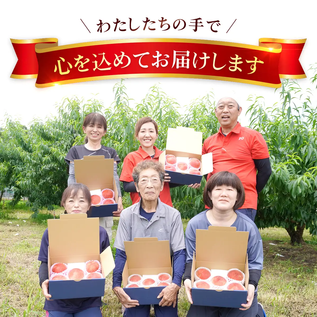 【2026年発送★先行予約】【★選べる容量・選べる配送方法】【常温便】山梨県 笛吹市産 朝獲り 新鮮 桃 2kg （4～8玉）126-001-26y-a
