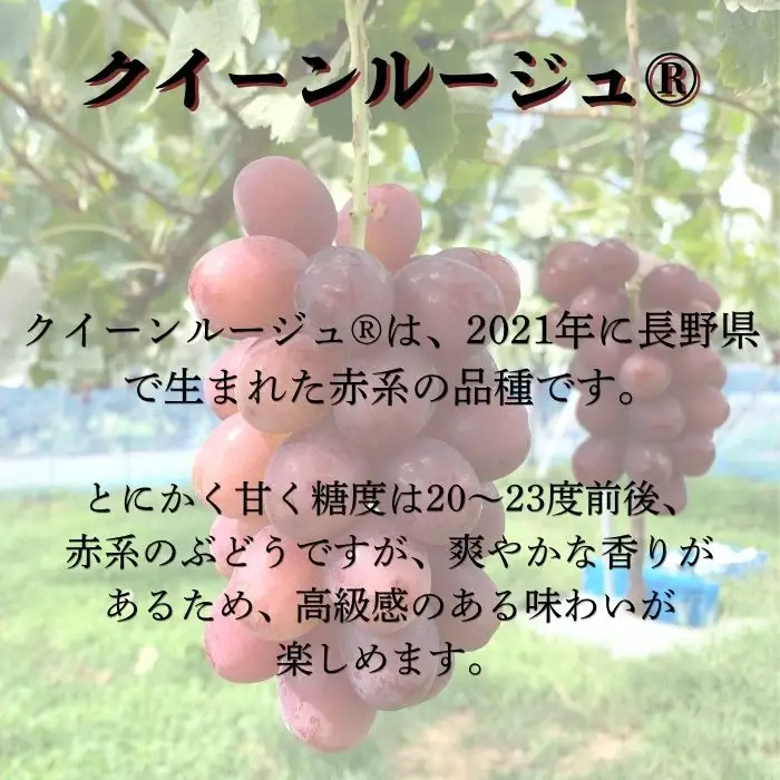 クイーンルージュ(R）2kg