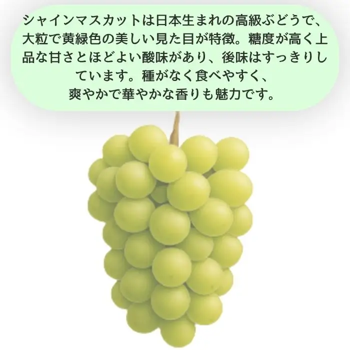 訳ありシャインマスカット2kg