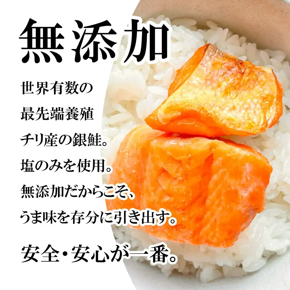 訳あり ゴロゴロ銀鮭 切り落とし 1.5kg ×2箱 (計3kg) FN-Limited-VO