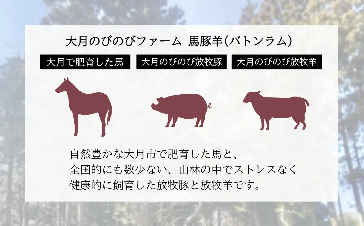 【バトンラム（馬豚羊）】 ソフトサラミソーセージ・ボロニアサラミソーセージ・ウィンナーソーセージ食べ比べセット