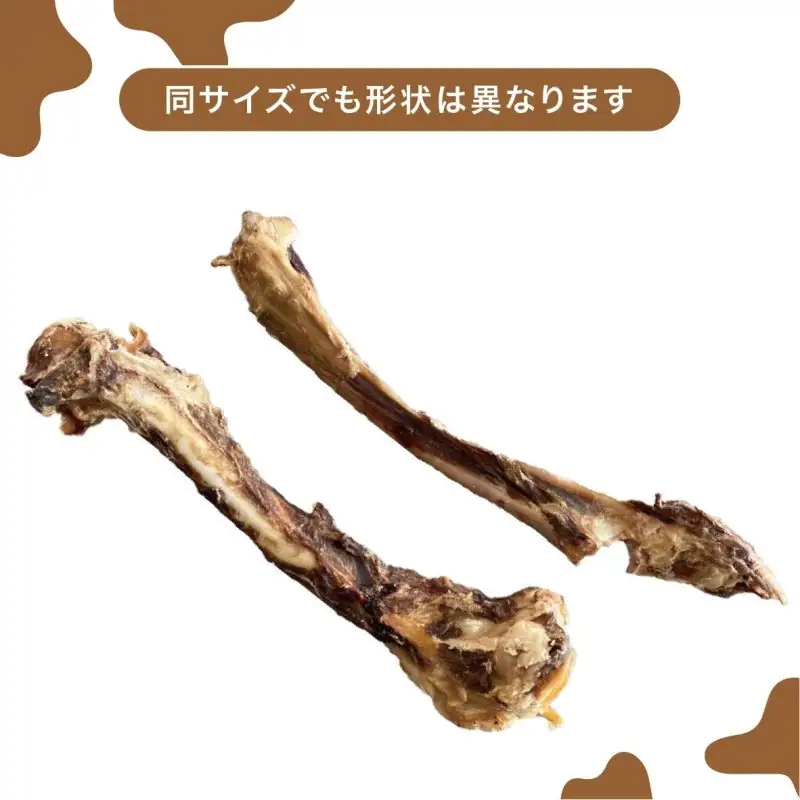 ペットフード研究所 国産無添加 鹿骨セット4個セット(各2個)【ふるさと納税3.0】【087D-105】