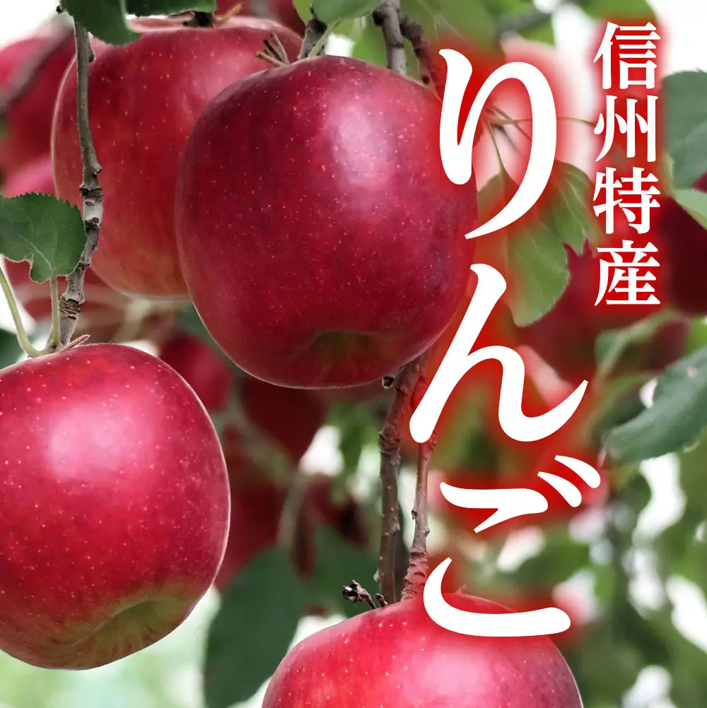 南信州高森町産 りんご サンふじ［訳あり］約5㎏