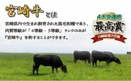《2026年8月発送》宮崎牛ヒレステーキ 300g_K033-039-2608