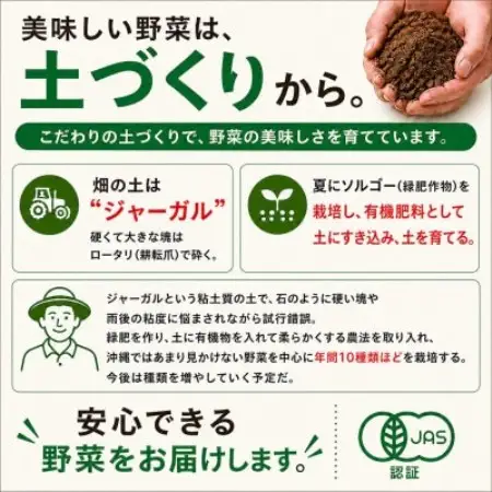 【発送月固定定期便】旬の沖縄野菜(とうもろこし・ナス・オクラ・カリフローレ・スナップエンドウ)全5回【配送不可地域：離島】【4087561】