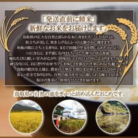 令和7年 鳥取県産　山崎農園こしひかり10kg【1725698】